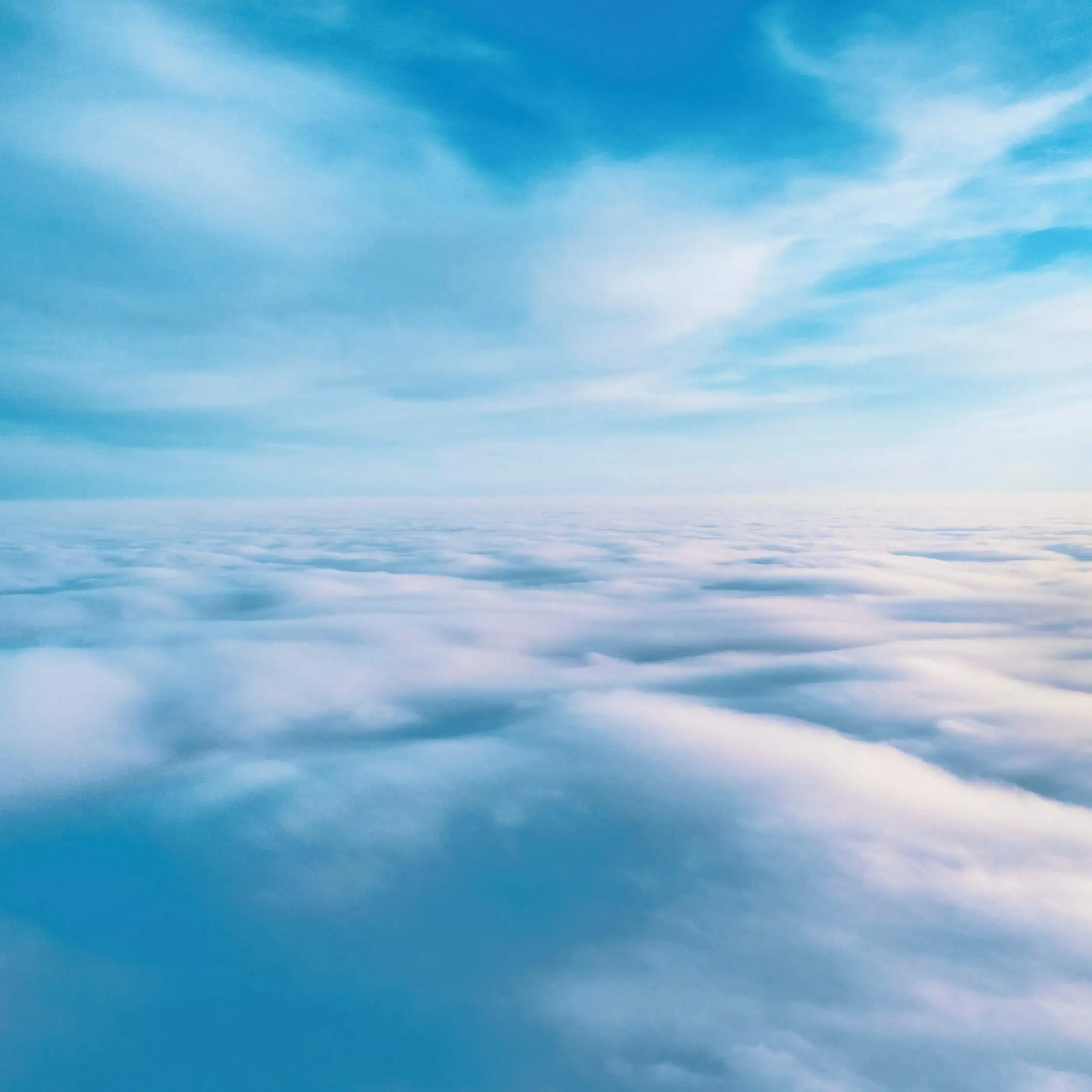 view from the bankly app